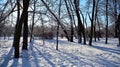 Winter landscape, Winter trees covered with snow. Royalty Free Stock Photo