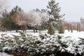 Winter landscape. Trees covered with snow and frost stand on the banks of a picturesque river, pond, lake, forest or park on cold Royalty Free Stock Photo