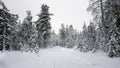 Winter landscape. Trees covered in snow and snowy path in winter forest. Blurred photo bokeh Royalty Free Stock Photo