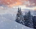 Winter landscape trees and fence in hoarfrost, background with some soft highlights and snow flakes Royalty Free Stock Photo