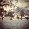 Winter landscape with trees on lakeshore Royalty Free Stock Photo