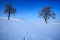 Winter landscape. Two lone trees in winter snowy landscape with blue sky. Solitary trees on the snow meadow. Winter scene with foo