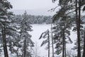 Winter landscape under the snow Royalty Free Stock Photo