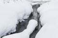 An unfettered stream runs among the white snowdrifts. Winter landscape. Royalty Free Stock Photo
