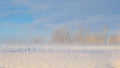 Winter landscape view fields forests covered snow fog Royalty Free Stock Photo
