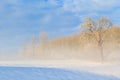 Winter landscape view fields forests covered snow fog Royalty Free Stock Photo