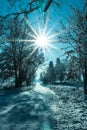 Winter landscape view fields forests covered snow rays sun Royalty Free Stock Photo