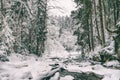 Winter landscape - view of the river in the winter forest in the Carpathian mountains Royalty Free Stock Photo