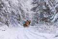 Winter landscape - view of the snowy road with with a horse sleigh in the winter mountain forest