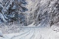 View of the snowy road in the winter mountain forest after snowfall Royalty Free Stock Photo