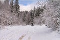 Winter landscape - view of the snowy road with a quad bike in the winter mountain forest Royalty Free Stock Photo