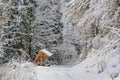 Winter landscape - view of the snowy road in the winter mountain forest
