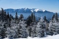 Winter landscape, viewpoint to Bucegi, Postavaru Mountains, Romania Royalty Free Stock Photo