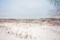 Winter landscape with village, forest and field Royalty Free Stock Photo