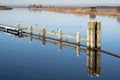 Winter landscape in a village in the Netherlands with a reed border along the clear blue water Royalty Free Stock Photo