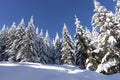 Winter landscape of Vitosha Mountain, Bulgaria