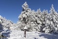 Winter landscape of Vitosha Mountain, Bulgaria