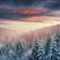 Winter landscape wallpaper with pine forest covered with snow and scenic sky at sunset Royalty Free Stock Photo