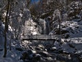 Winter landscape with water falls Todtnauer WasserfÃÂ¤lle in winter with snow-covered trees and frozen bridge with icicles. Royalty Free Stock Photo