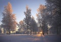 Winter landscape with white birch trees Royalty Free Stock Photo