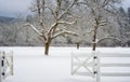 Winter Landscape white gate and tree Royalty Free Stock Photo