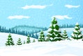 Winter landscape with white pine trees on snow