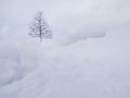 Winter landscape. White snow above tree. Winter panorama landscape with forest trees. Royalty Free Stock Photo