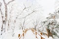 Winter landscape white snow of Mountain in Korea. Royalty Free Stock Photo