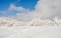 Winter landscape white snow of Mountain in Korea. Royalty Free Stock Photo