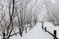 Winter landscape white snow of Mountain in Korea Royalty Free Stock Photo