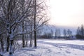 Winter landscape - white snow with traces of shoes and skis on the field. The ski track and road skirting the forest with bare tre