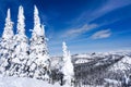 Winter Landscape in Whitefish, Montana