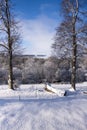 Winter Landscape in Wiltshire