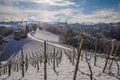 Winter landscape with wineyards Austria Royalty Free Stock Photo