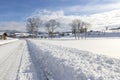 Winter landscape. Winter road and trees covered with snow Royalty Free Stock Photo