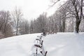 Winter landscape. Winter in the snowy park with lonely benches under winter snowfall. Winter park under falling snow. Royalty Free Stock Photo