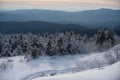 Winter landscape, wintry scene of frosty trees on snowy foggy background. Scenery in winter. Royalty Free Stock Photo
