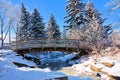 Winter landscape with wood bridge over a frozen creek through snowy trees on a cold day