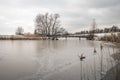 Winter landscape with a wooden bridge over a frozen lake Royalty Free Stock Photo