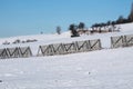 Winter landscape