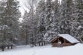 Winter landscape. Wooden hut in the middle of a snowy forest Royalty Free Stock Photo