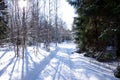 Winter landscapes in the forest