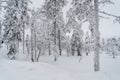 Landscapes in Lapland near Sirkka, Finland