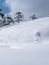 Winter landscapes of mysterious mountains and forests