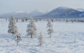 Winter landscape of Oymyakon. Yakutia, Russia.