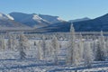 Winter landscapes of Oymyakon.