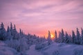 Winter landscape with forest, cloudy sky and sun. America, country. Royalty Free Stock Photo