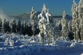 Winter Lanscape, ÃÂ umava Mountains, Eisenstein