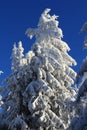 Winter Lanscape, ÃÂ umava Mountains, Eisenstein