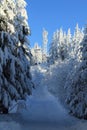 Winter Lanscape, ÃÂ umava Mountains, Eisenstein